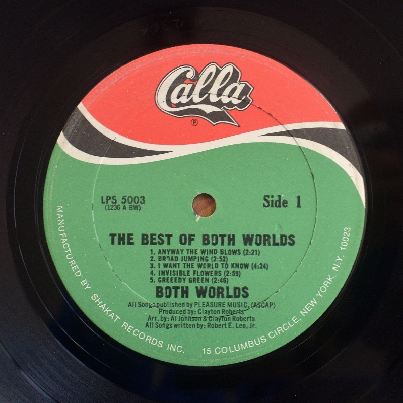 The Best Of Both Worlds - I Want The World To Know   [LP]