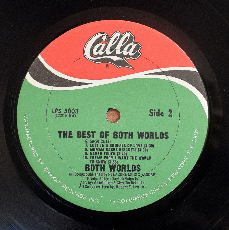 The Best Of Both Worlds - I Want The World To Know   [LP]