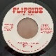 Flipside - Music (Get's Me High) / Havin' A Party