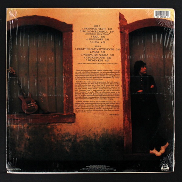 Toninho Horta - Diamond Land｜JAZZ,Latin Jazz｜Paddy Field Records