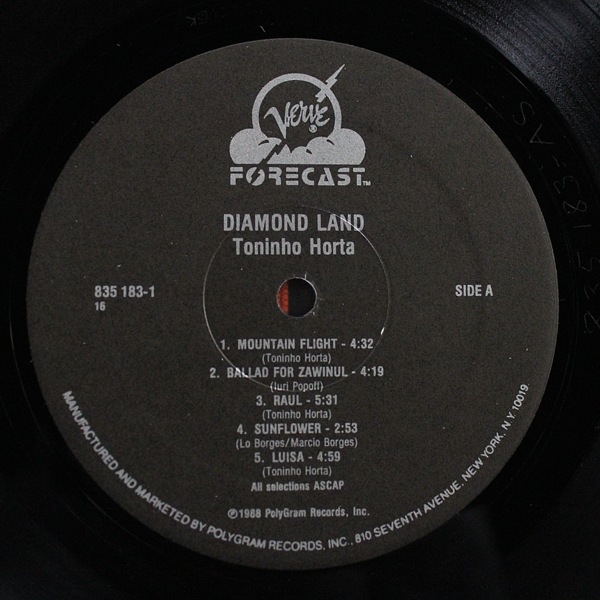 Toninho Horta - Diamond Land｜JAZZ,Latin Jazz｜Paddy Field Records