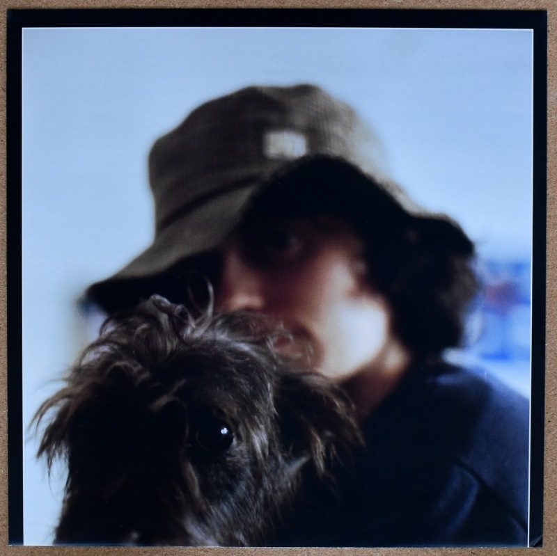 Ana Frango Eletrico - Little Electric Chicken Heart = ��ȥ롦���쥯�ȥ�å��������󡦥ϡ���  [LP]