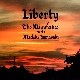 The minimalize - Liberty