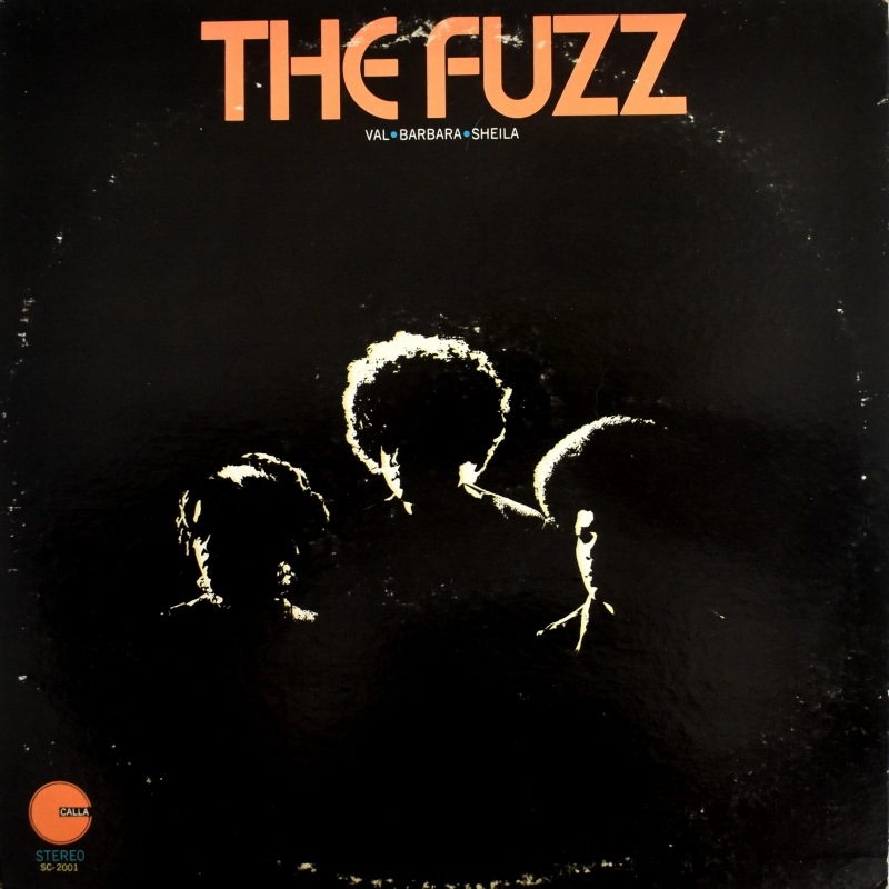 The Fuzz - The Fuzz   [LP]