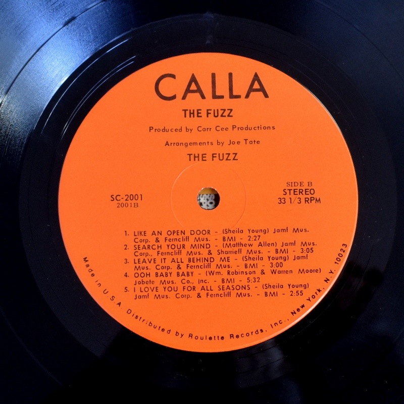 The Fuzz - The Fuzz   [LP]