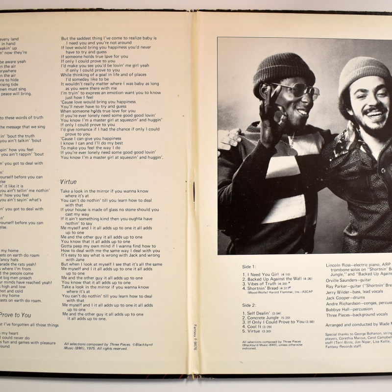 The 3 Pieces - Vibes Of Truth      [LP]