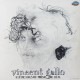 Vincent Gallo ‎– Recordings Of Music For Film [2LP]