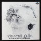 Vincent Gallo ‎– Recordings Of Music For Film [2LP]
