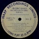 Vincent Gallo ‎– Recordings Of Music For Film [2LP]