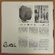 Bertoia - Bellissima Bellissima Bellissima / Nova