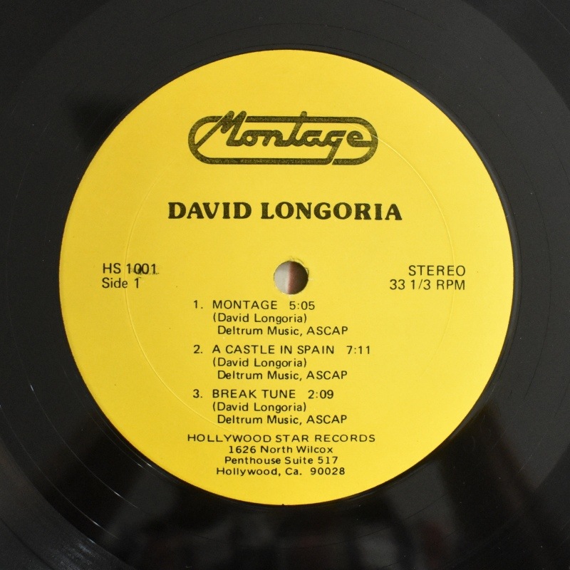 David Longoria - Montage         [LP]