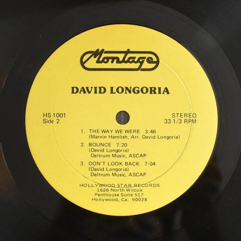 David Longoria - Montage         [LP]