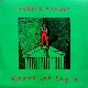Robert Wyatt - Nothing Can Stop Us
