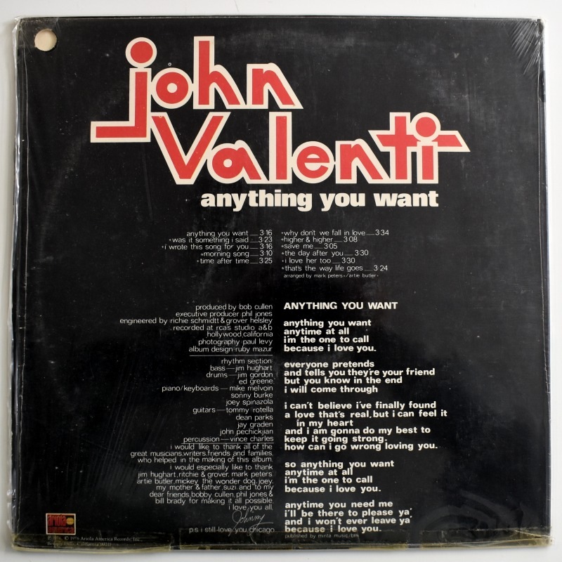 John Valenti - Anything You Want            [LP]