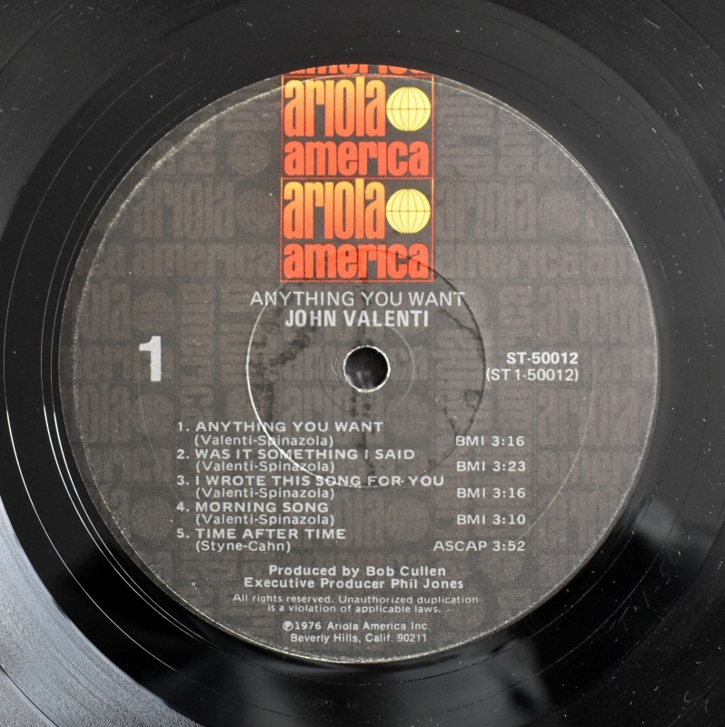 John Valenti - Anything You Want            [LP]