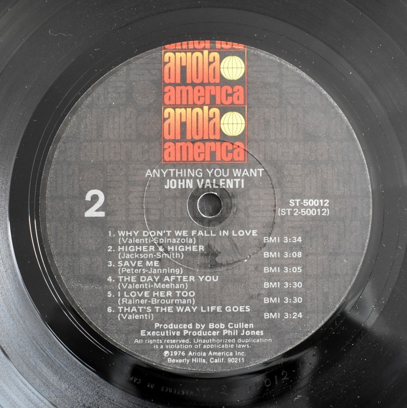 John Valenti - Anything You Want            [LP]