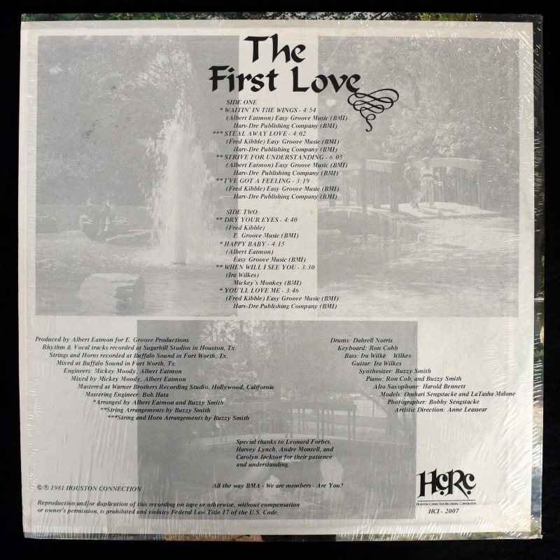 The First Love - The First Love   [LP]