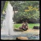 The First Love - The First Love   [LP]