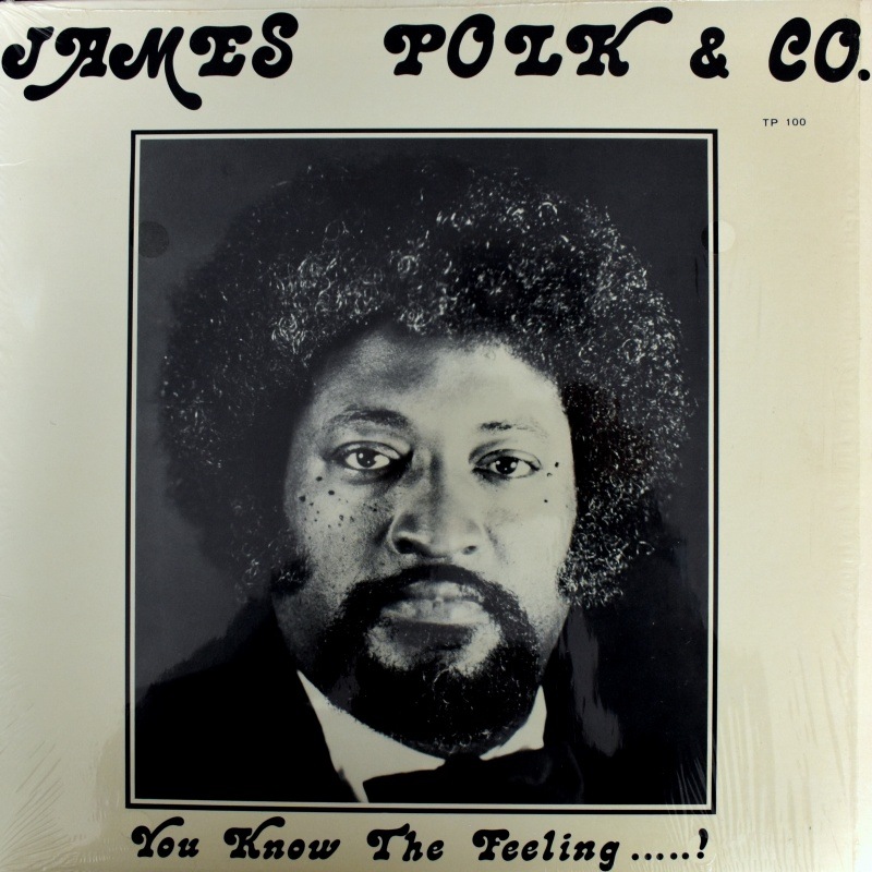 James Polk & Co. - You Know The Feeling... !����LP��