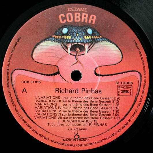 Richard Pinhas - Chronolyse