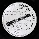 Max Eastley /  Steve Beresford /  Paul Burwell /  David Toop - Whirled Music