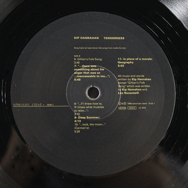 Kip Hanrahan - Tenderness｜JAZZ,JAZZ ROCK / FUSION｜Paddy
