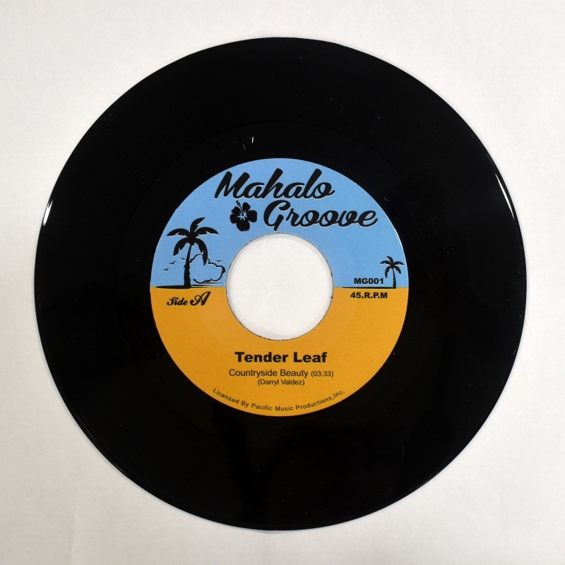 Tender Leaf - Countryside Beauty / Beautiful Hawaii Kai       [7inch]