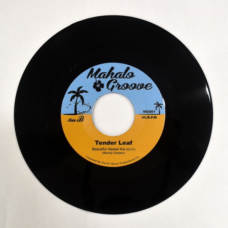 Tender Leaf - Countryside Beauty / Beautiful Hawaii Kai       [7inch]