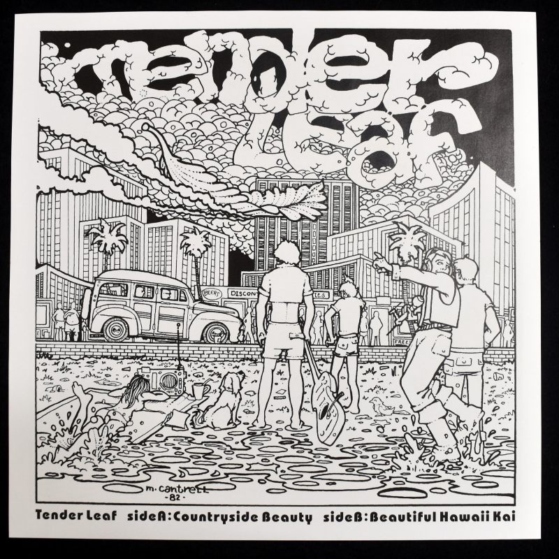 Tender Leaf - Countryside Beauty / Beautiful Hawaii Kai       [7inch]