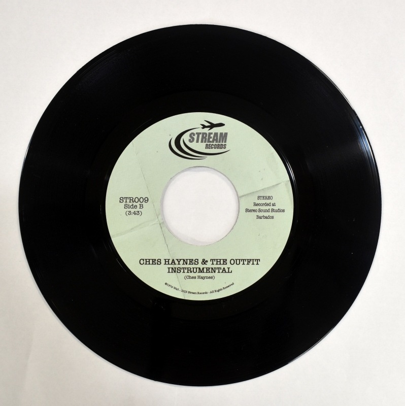 Ches Haynes - Please Don't Go / Instrumental      [7inch]
