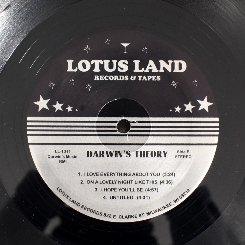 DARWINS THEORY LP レコード 【公式通販】