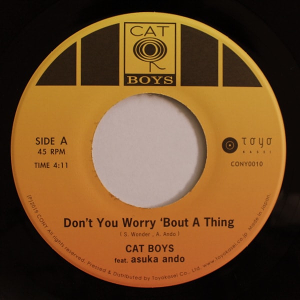 STEVIE WONDERカバー／CAT BOYS & asuka ando STEVIE WONDERカバー