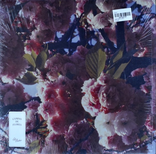 El Buho - Camino De Flores 限定盤 レア｜ELECTRONIC,AMBIENT｜Paddy 