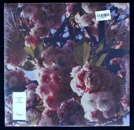 CAMINO DE FLORES レコード El Buho - Camino De Flores 限定盤 レア｜ELECTRONIC,AMBIENT