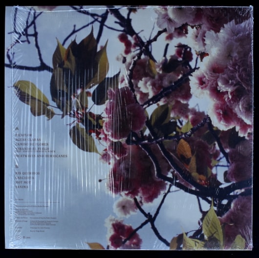 CAMINO DE FLORES レコード CAMINO DE FLORES レコード