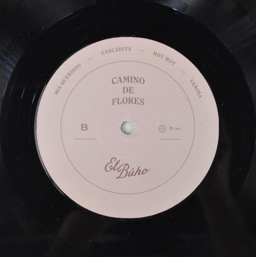 CAMINO DE FLORES レコード