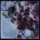 El Buho - Camino De Flores �����ס��쥢