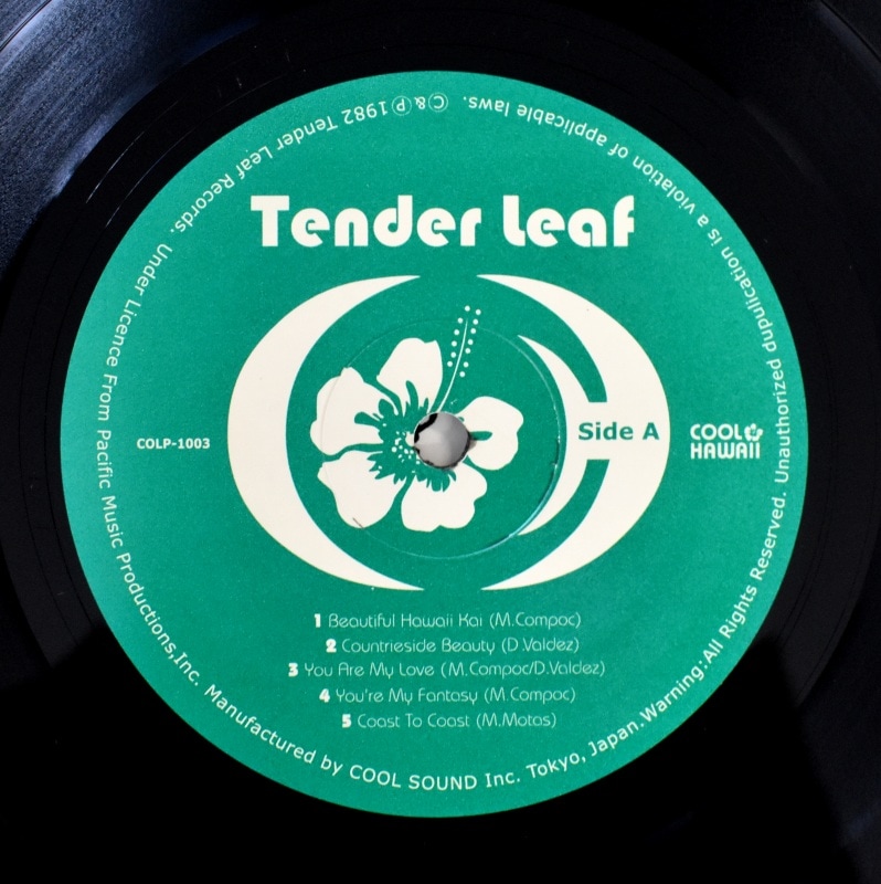 Tender Leaf - Tender Leaf [LP]｜全てのカテゴリー｜Paddy Field