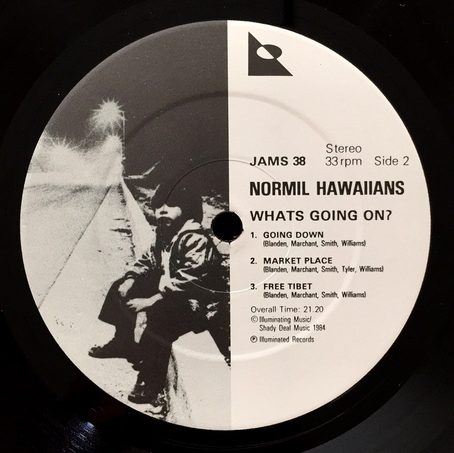 Normil Hawaiians - Whats Going On��
