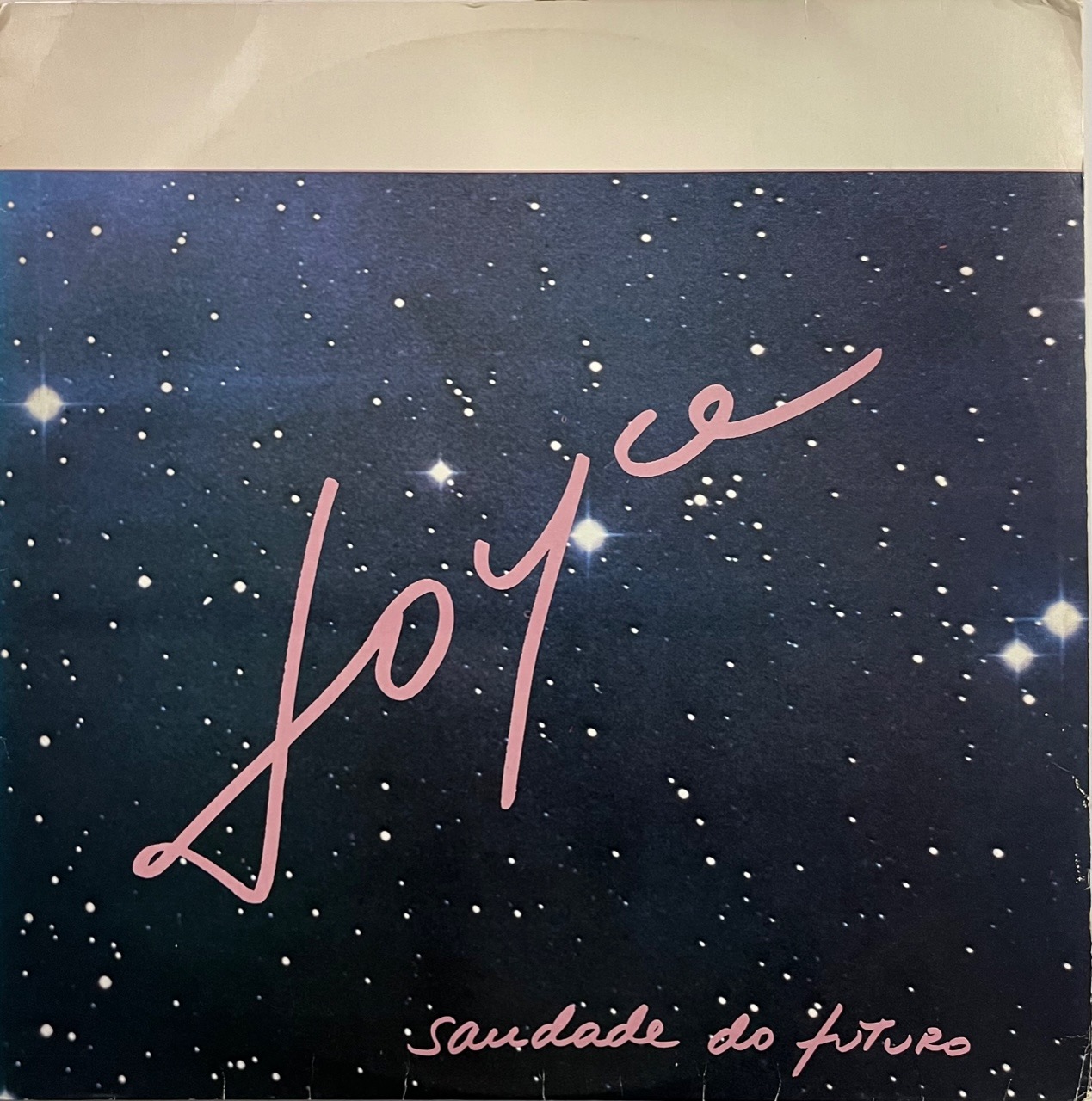 Ximo & Judy シモ＆ジュディVia Brasil アナログ Chicchi森で暮らす動物たちの12か月刺しゅうキット