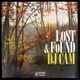 DJ Cam - Lost & Found     [LP]