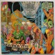 Funkadelic - Let's Take It To The Stage   [LP]