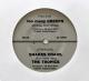 Bush Tetras - Too Many Creeps