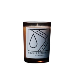 D.S. & DURGA CandleBIG SUR AFTER RAIN, 198g7oz