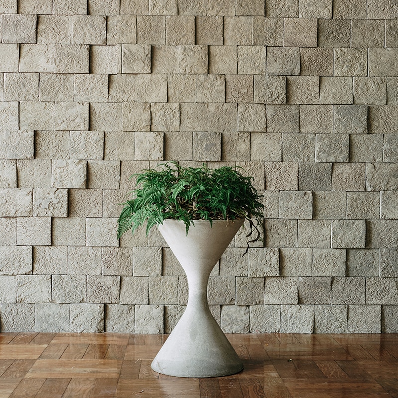 �ȥ��亮�Υ֡� SPINDLE��S)