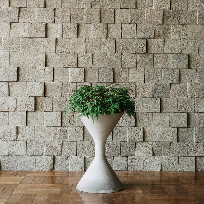 �ȥ��亮�Υ֡� SPINDLE��S)