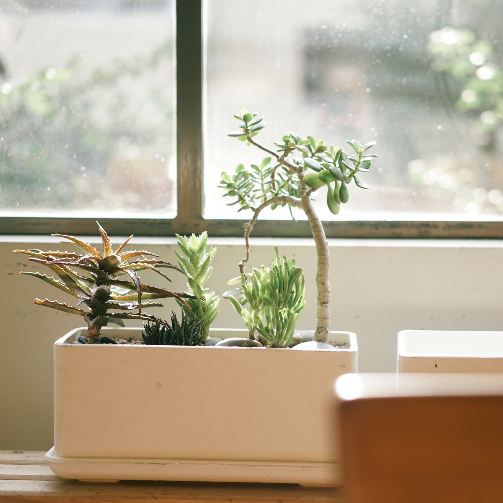 SWISSPEARL BALCONIA 400 | Home accessory,Planters プランター