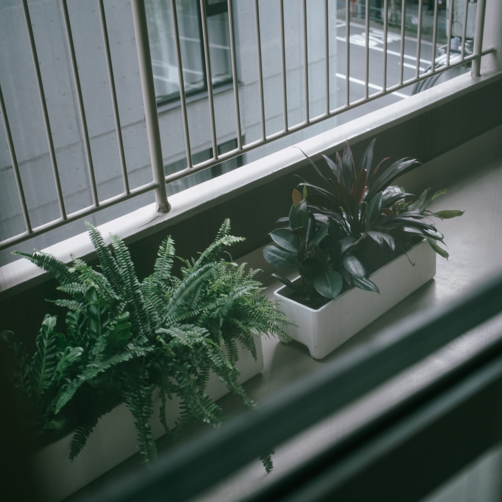 SWISSPEARL BALCONIA 600 | Home accessory,Planters プランター