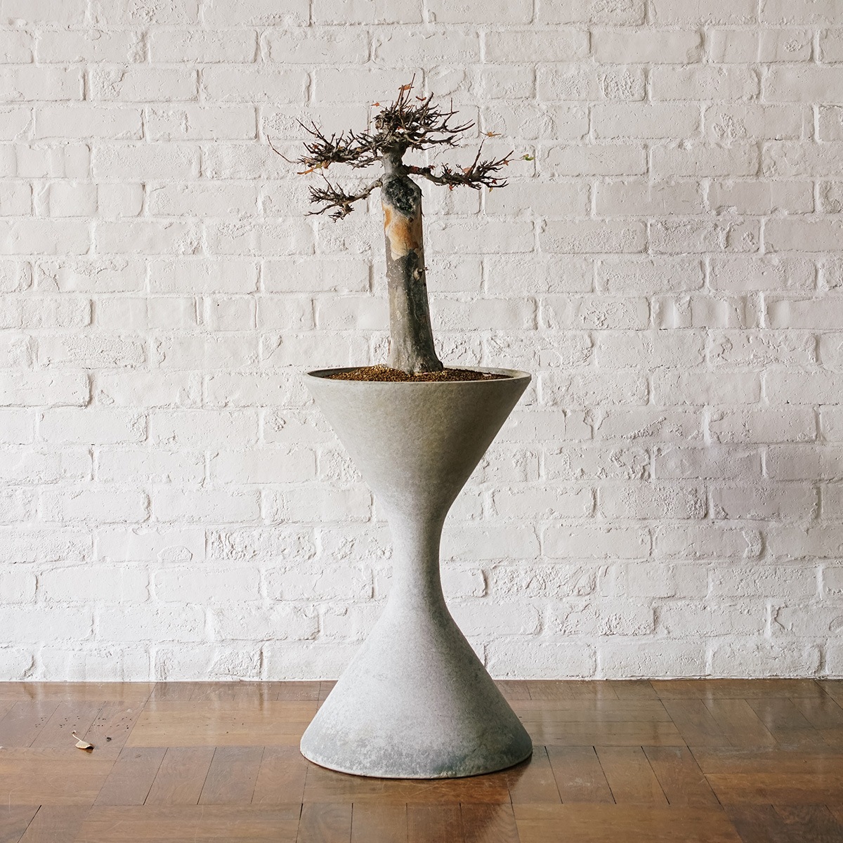 ������ �� SPINDLE S