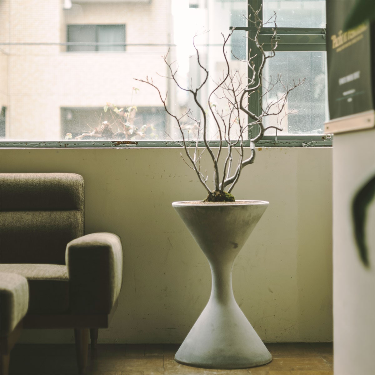 ジューンベリー × SPINDLE S | Home accessory,Plants 植物